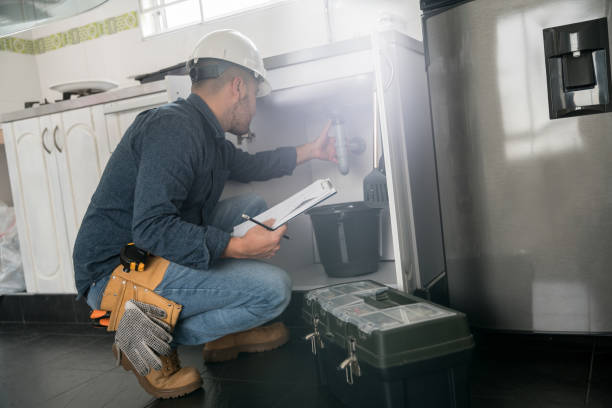 Best Emergency Plumbing Repair  in Homosassa, FL