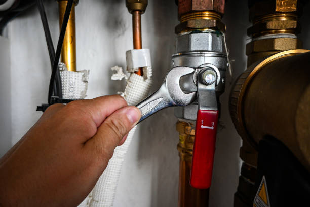 Best Sprinkler Systems  in Homosassa, FL